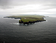 Loop Head Ross Formation