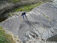 Ross Bay Ross Formation