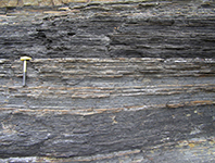 Dunmore Bay Ross Formation