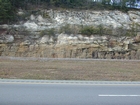 Barrier Facies of Pensylvannian Pottsville Formation, I. 75 just south of Jellico, Tennessee