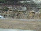 Barrier Facies of Pensylvannian Pottsville Formation, I. 75 just south of Jellico, Tennessee