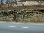 Barrier Facies of Pensylvannian Pottsville Formation, I. 75 just south of Jellico, Tennessee