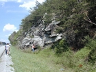 Barrier Facies of Pensylvannian Pottsville Formation, I. 75 just south of Jellico, Tennessee