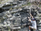 Barrier Facies of Pensylvannian Pottsville Formation, I. 75 just south of Jellico, Tennessee