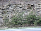 Barrier Facies of Pensylvannian Pottsville Formation, I. 75 just south of Jellico, Tennessee