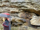 Barrier Facies of Pensylvannian Pottsville Formation, I. 75 just south of Jellico, Tennessee