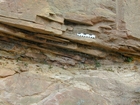 Barrier Facies of Pensylvannian Pottsville Formation, I. 75 just south of Jellico, Tennessee