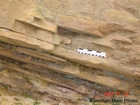 Barrier Facies of Pensylvannian Pottsville Formation, I. 75 just south of Jellico, Tennessee