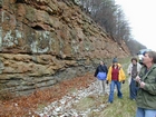 Barrier Facies of Pensylvannian Pottsville Formation, I. 75 just south of Jellico, Tennessee