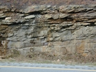 Barrier Facies of Pensylvannian Pottsville Formation, I. 75 just south of Jellico, Tennessee