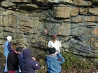 Barrier Facies of Pensylvannian Pottsville Formation, I. 75 just south of Jellico, Tennessee