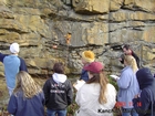 Barrier Facies of Pensylvannian Pottsville Formation, I. 75 just south of Jellico, Tennessee