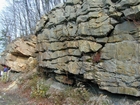 Barrier Facies of Pensylvannian Pottsville Formation, I. 75 just south of Jellico, Tennessee