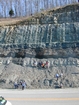 Mississippian Borden Formation, downslope just offshore clastic shelf in roadcut on Rt 801 Kentucky or the AA Highway