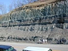 Mississippian Borden Formation, downslope just offshore clastic shelf in roadcut on Rt 801 Kentucky or the AA Highway