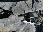 Mississippian Borden Formation, downslope just offshore clastic shelf in roadcut on Rt 801 Kentucky or the AA Highway