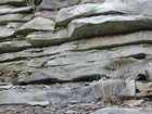 Mississippian Borden Formation, shelf with downslope fans and shales, I 64 just east of Morehead, Kentucky