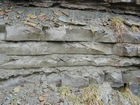 Mississippian Borden Formation, shelf with downslope fans and shales, I 64 just east of Morehead, Kentucky