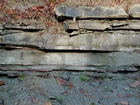 Mississippian Borden Formation, shelf with downslope fans and shales, I 64 just east of Morehead, Kentucky