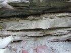 Mississippian Borden Formation, shelf with downslope fans and shales, I 64 just east of Morehead, Kentucky