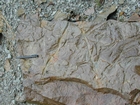 Mississippian Borden Formation, shelf with downslope fans and shales, I 64 just east of Morehead, Kentucky