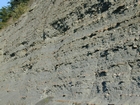 Mississippian Borden Formation, prodelta and shales, I 64 just east of Morehead, Kentucky