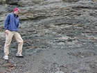 Mississippian Borden Formation, prodelta and shales, I 64 just east of Morehead, Kentucky