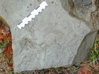 Mississippian Borden Formation, prodelta and shales, I 64 just east of Morehead, Kentucky