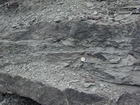 Road side outcrops expressing the geology of the stacked fluvial system sediments exposed in the Pennsylvanian Breathitt Formation just north of Louisa in Eastern Kentucky on US 23 on the western margin of the Appalachian Mountain foreland basin