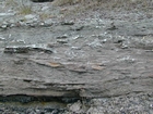 Road side outcrops expressing the geology of the stacked fluvial system sediments exposed in the Pennsylvanian Breathitt Formation just north of Louisa in Eastern Kentucky on US 23 on the western margin of the Appalachian Mountain foreland basin