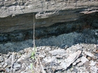 Road side outcrops expressing the geology of the stacked fluvial system sediments exposed in the Pennsylvanian Breathitt Formation just north of Louisa in Eastern Kentucky on US 23 on the western margin of the Appalachian Mountain foreland basin