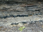 Road side outcrops expressing the geology of the stacked fluvial system sediments exposed in the Pennsylvanian Breathitt Formation just north of Louisa in Eastern Kentucky on US 23 on the western margin of the Appalachian Mountain foreland basin