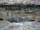 Road side outcrops expressing the geology of the stacked fluvial system sediments exposed in the Pennsylvanian Breathitt Formation just north of Louisa in Eastern Kentucky on US 23 on the western margin of the Appalachian Mountain foreland basin