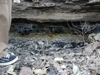 Road side outcrops expressing the geology of the stacked fluvial system sediments exposed in the Pennsylvanian Breathitt Formation just north of Louisa in Eastern Kentucky on US 23 on the western margin of the Appalachian Mountain foreland basin