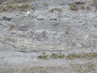 Road side outcrops expressing the geology of the stacked fluvial system sediments exposed in the Pennsylvanian Breathitt Formation just north of Louisa in Eastern Kentucky on US 23 on the western margin of the Appalachian Mountain foreland basin