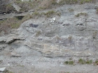 Road side outcrops expressing the geology of the stacked fluvial system sediments exposed in the Pennsylvanian Breathitt Formation just north of Louisa in Eastern Kentucky on US 23 on the western margin of the Appalachian Mountain foreland basin