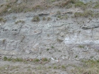 Road side outcrops expressing the geology of the stacked fluvial system sediments exposed in the Pennsylvanian Breathitt Formation just north of Louisa in Eastern Kentucky on US 23 on the western margin of the Appalachian Mountain foreland basin