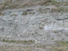 Road side outcrops expressing the geology of the stacked fluvial system sediments exposed in the Pennsylvanian Breathitt Formation just north of Louisa in Eastern Kentucky on US 23 on the western margin of the Appalachian Mountain foreland basin