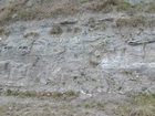 Road side outcrops expressing the geology of the stacked fluvial system sediments exposed in the Pennsylvanian Breathitt Formation just north of Louisa in Eastern Kentucky on US 23 on the western margin of the Appalachian Mountain foreland basin