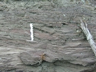 Road side outcrops expressing the geology of the stacked fluvial system sediments exposed in the Pennsylvanian Breathitt Formation just north of Louisa in Eastern Kentucky on US 23 on the western margin of the Appalachian Mountain foreland basin