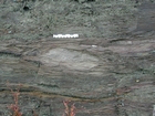 Road side outcrops expressing the geology of the stacked fluvial system sediments exposed in the Pennsylvanian Breathitt Formation just north of Louisa in Eastern Kentucky on US 23 on the western margin of the Appalachian Mountain foreland basin