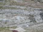 Road side outcrops expressing the geology of the stacked fluvial system sediments exposed in the Pennsylvanian Breathitt Formation just north of Louisa in Eastern Kentucky on US 23 on the western margin of the Appalachian Mountain foreland basin