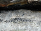 Delta Mouth Bar has eroded down to underlying Coal capping a seat earth