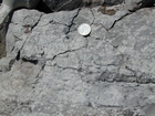 Newman Limestone shoaling up cycles with storm and-or tidal channels