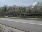 Newman Limestone shoaling up cycles with associated tidal or storm generated channels