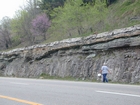 Newman Limestone shoaling up cycles with associated tidal or storm generated channels