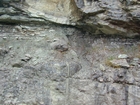 Newman Limestone shoaling up cycles with associated tidal or storm generated channels