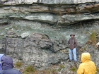 Newman Limestone shoaling up cycles with associated tidal or storm generated channels