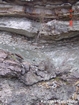Newman Limestone shoaling up cycles with associated tidal or storm generated channels
