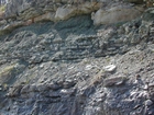 Newman Limestone shoaling up cycles with associated tidal or storm generated channels